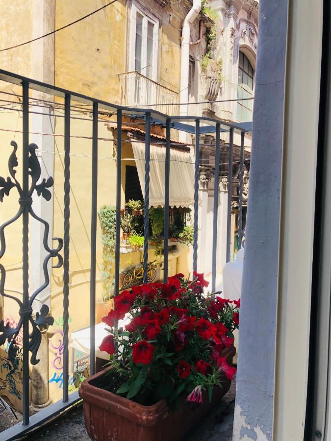 Dimora Paladino Bed & Breakfast Наполи Екстериор снимка